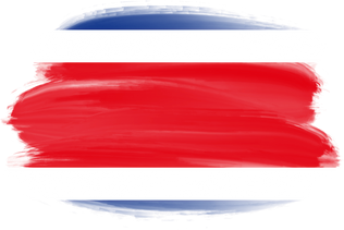 Costa Rica Brush Flag
